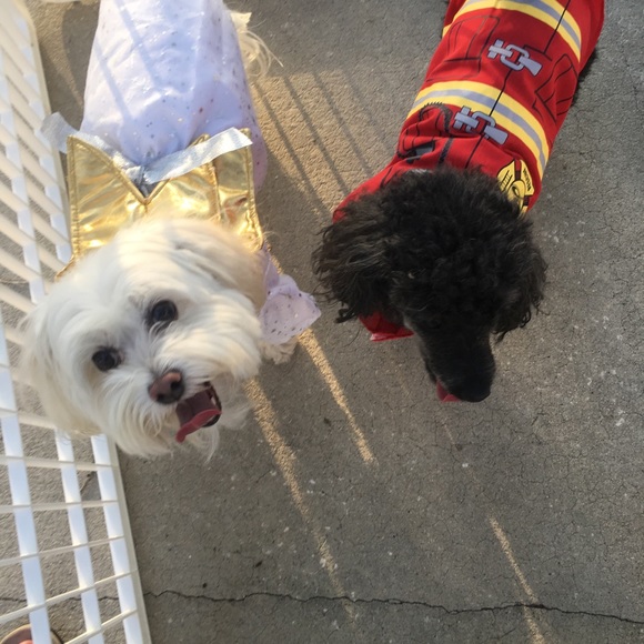 Meet the Posher - Picture 2 of 3